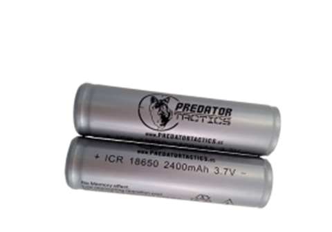 Pair of Rechargeable Batteries